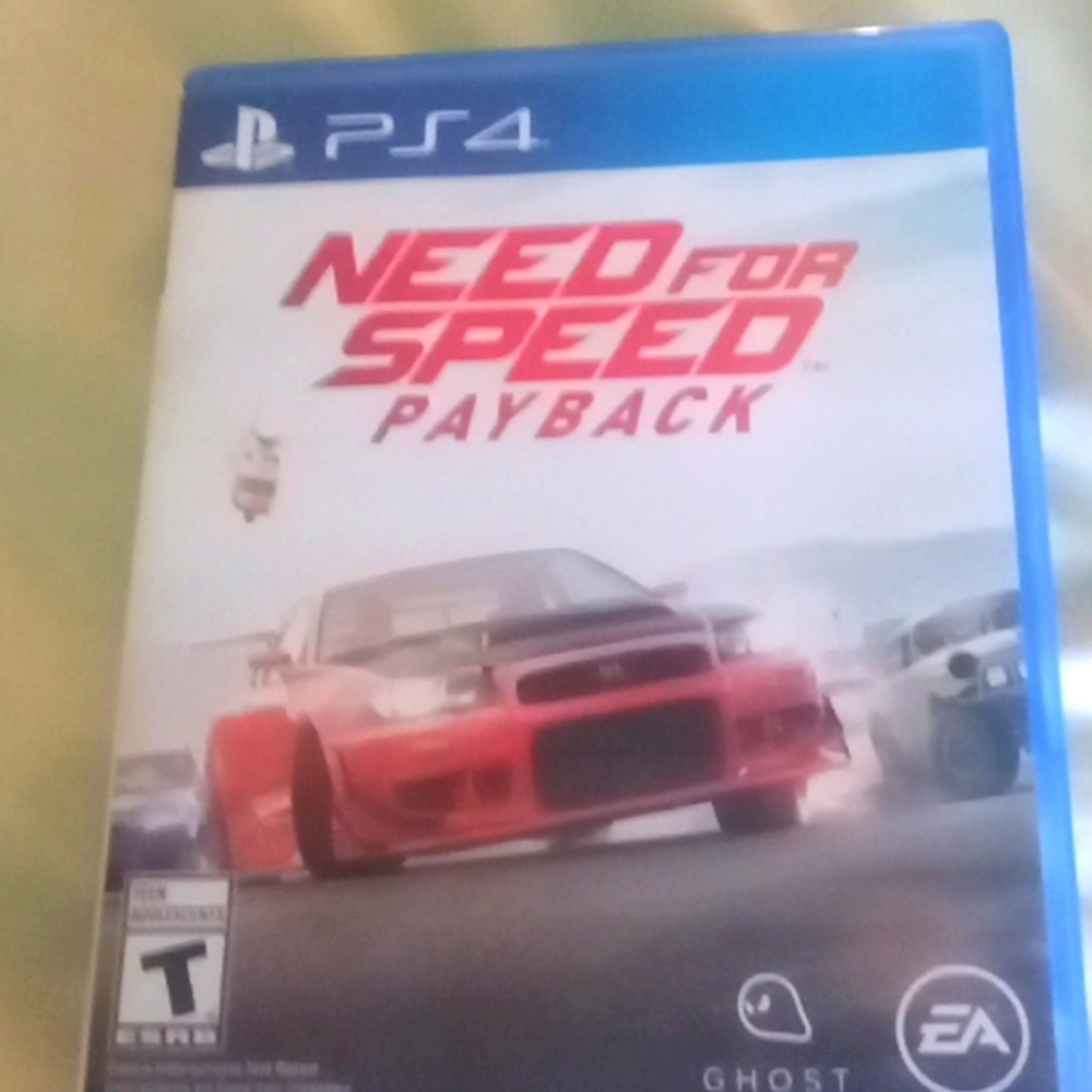 PS4 video game